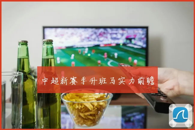 中超新赛季升班马实力前瞻