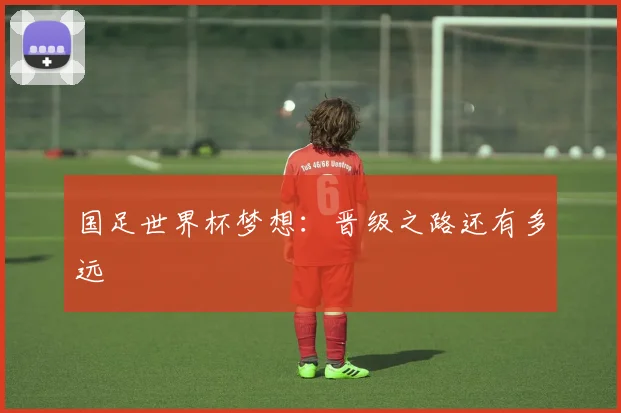 国足世界杯梦想:晋级之路还有多远